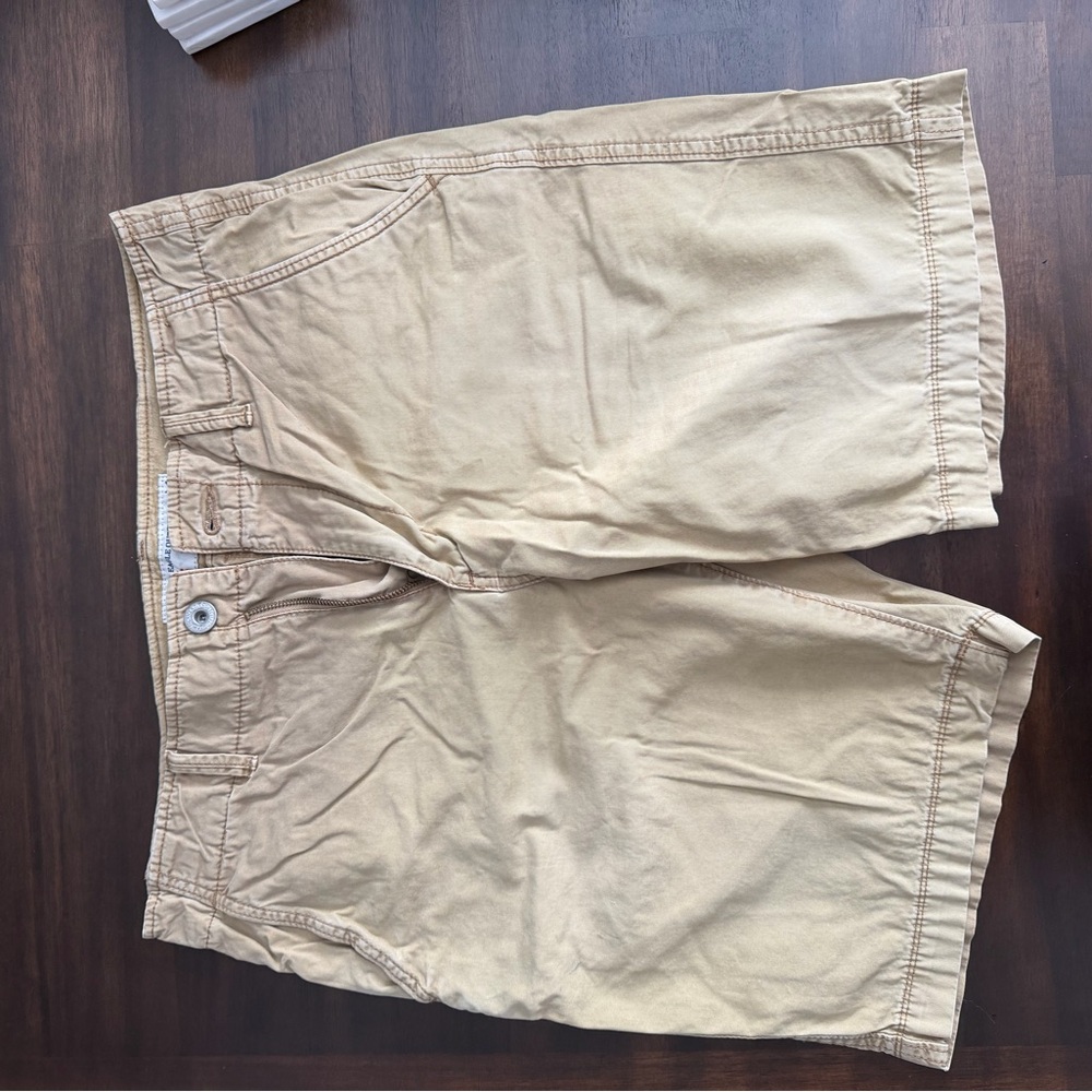 American Eagle Outfitters Men's Khaki Shorts